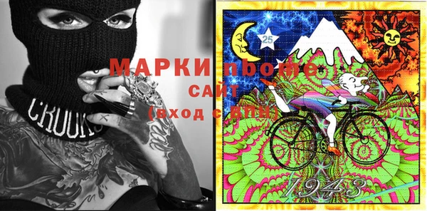 a pvp Новозыбков