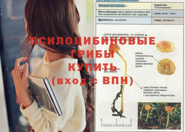 бутик Аркадак